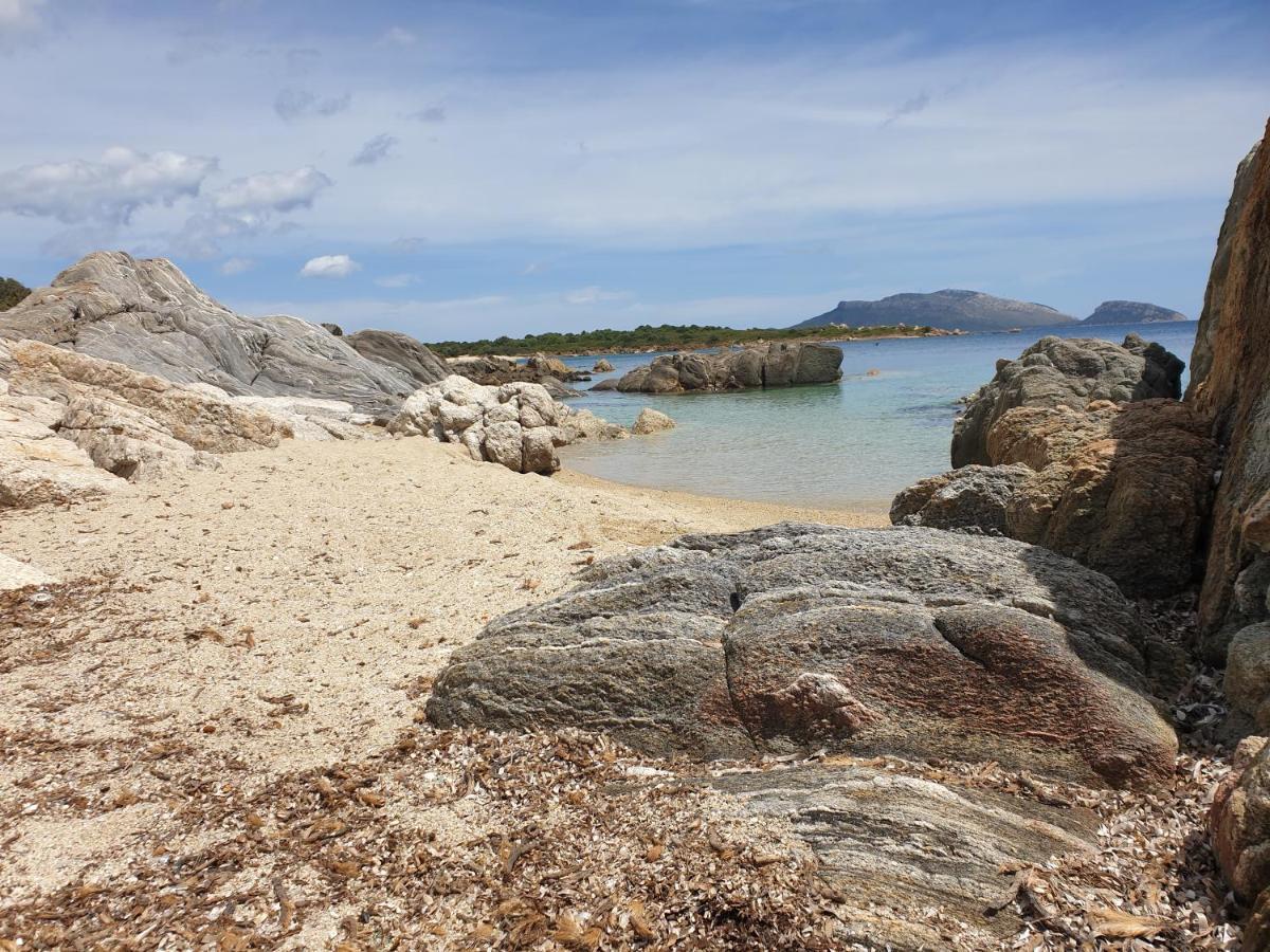 Home On Sardinia Beach Olbia Kültér fotó