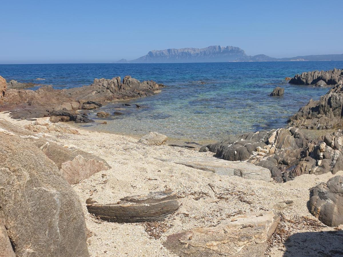 Home On Sardinia Beach Olbia Kültér fotó